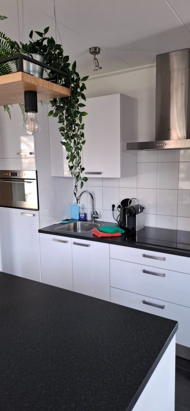Moderne keuken met een zwarte werkblad, plant en huishoudelijke apparaten.