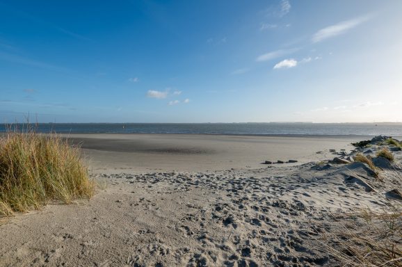 Zandstrand met gras en een heldere lucht, uitzicht op de zee.