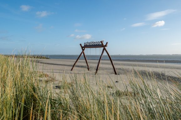 Een schommel op een zandstrand met gras in de voorgrond en de zee op de achtergrond.