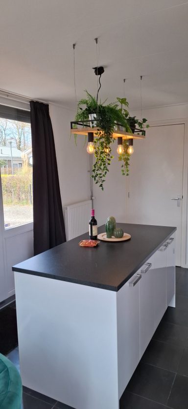 Moderne keuken met een eiland, groene planten en hanglampen boven een zwart aanrecht.